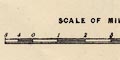 scale line